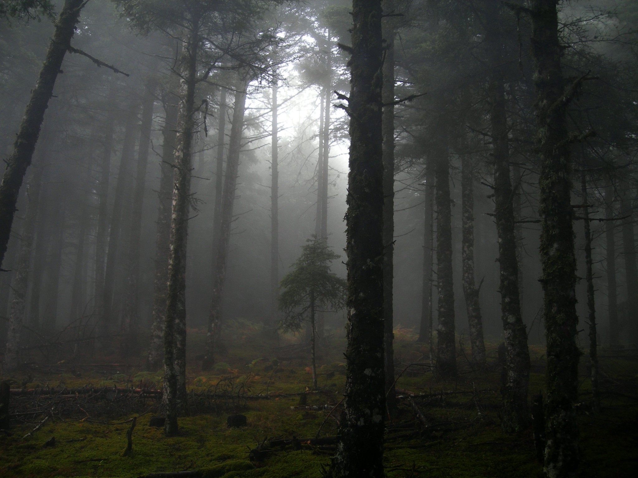 Ξενώνας Αλθαία - Ορεινή Ναυπακτία - Άνω Χώρα Ναυπακτίας