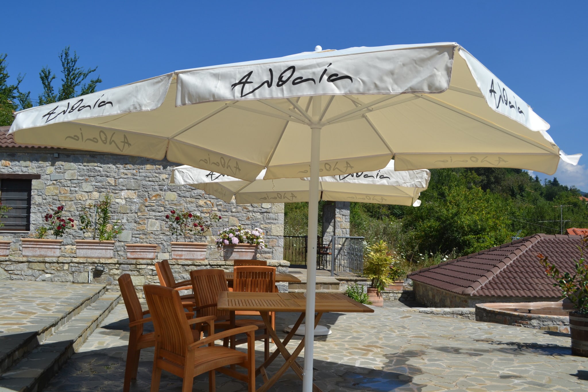 Ξενώνας Αλθαία - Ορεινή Ναυπακτία - Άνω Χώρα Ναυπακτίας