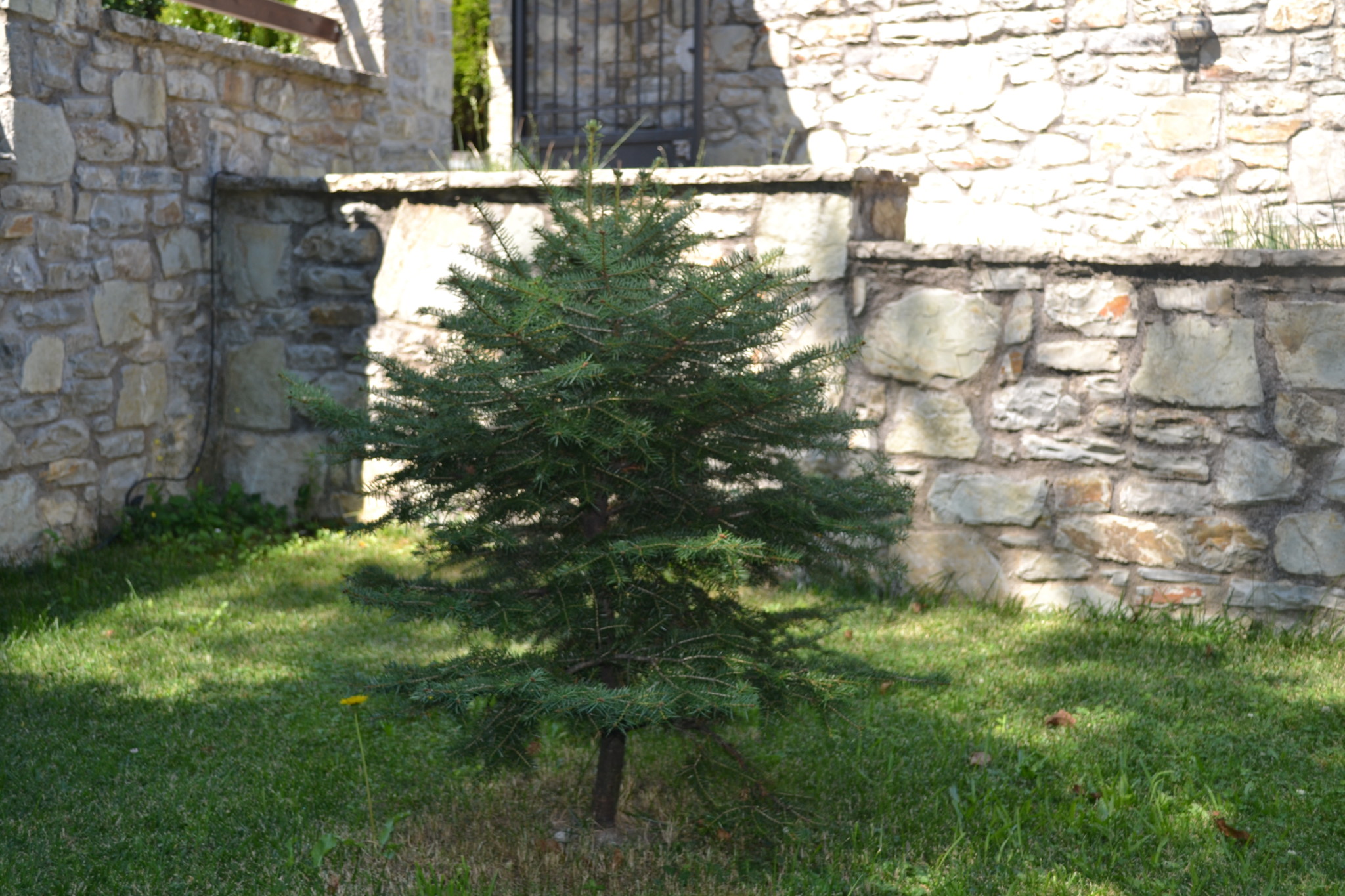 Ξενώνας Αλθαία - Ορεινή Ναυπακτία - Άνω Χώρα Ναυπακτίας