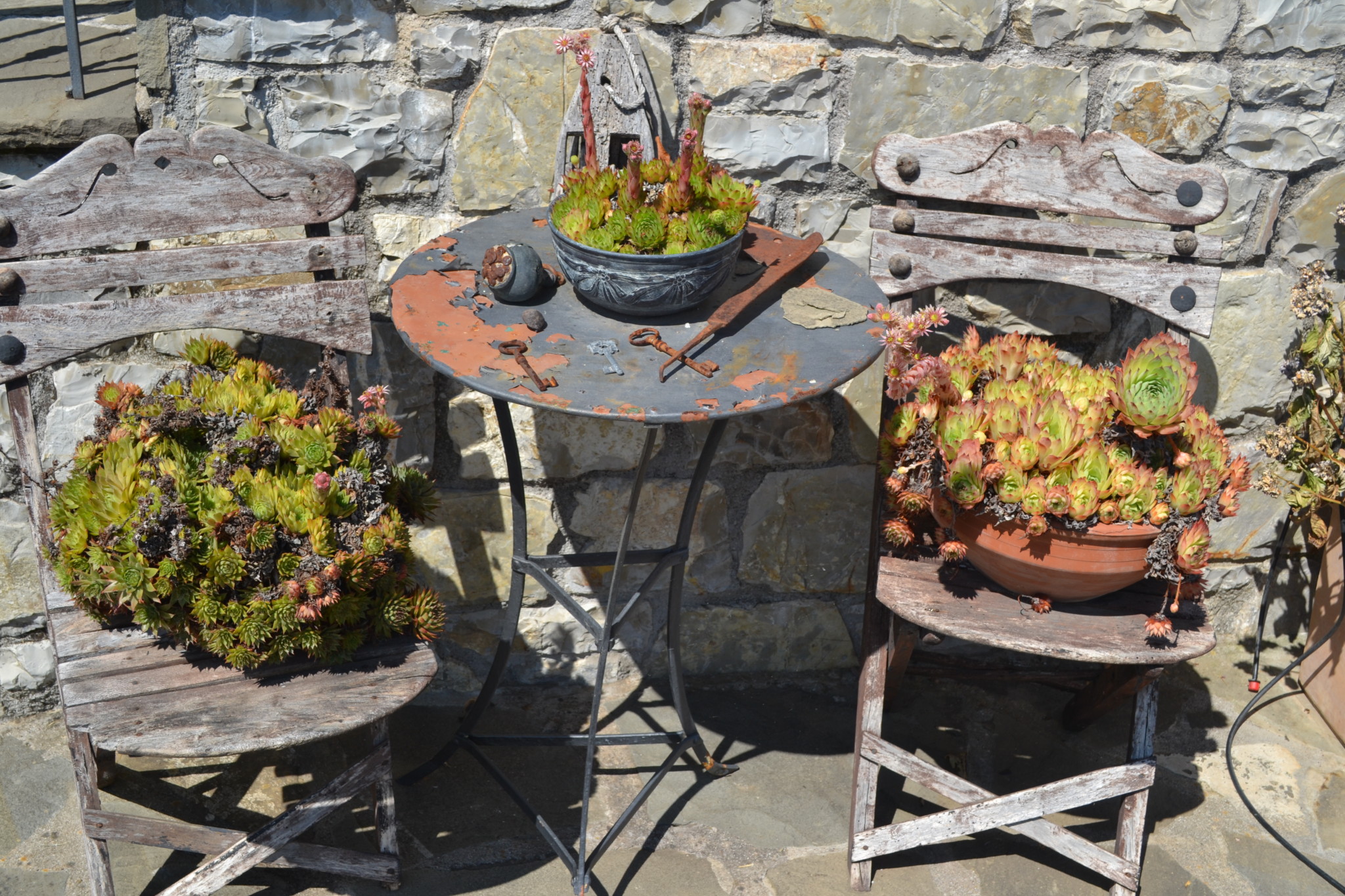 Ξενώνας Αλθαία - Ορεινή Ναυπακτία - Άνω Χώρα Ναυπακτίας