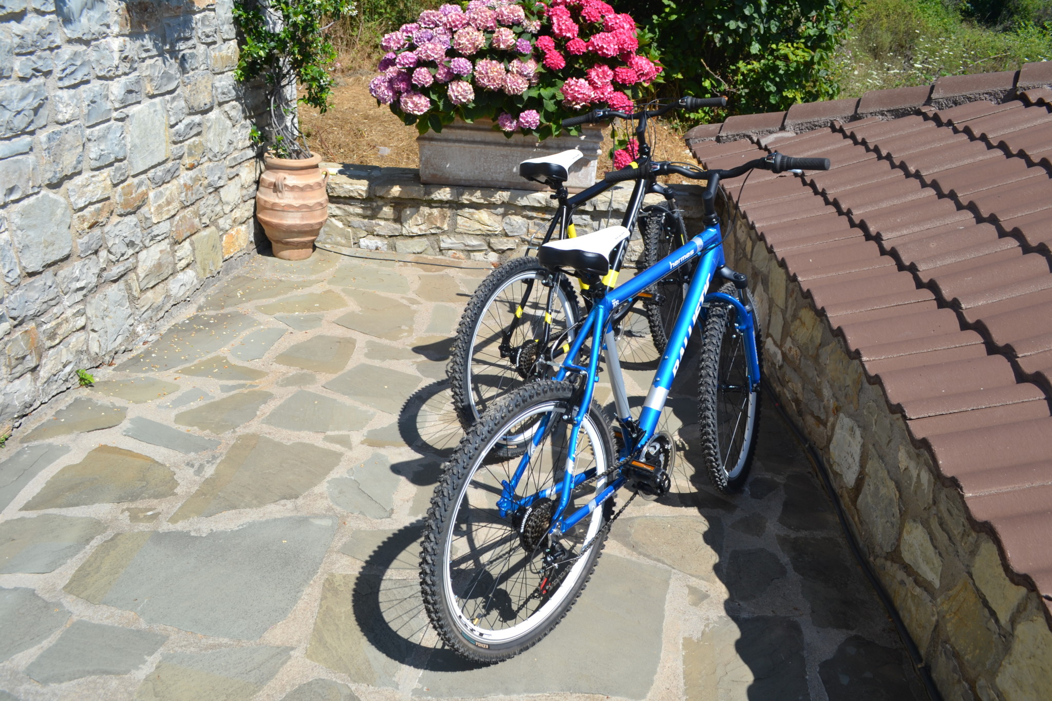 Ξενώνας Αλθαία - Ορεινή Ναυπακτία - Άνω Χώρα Ναυπακτίας