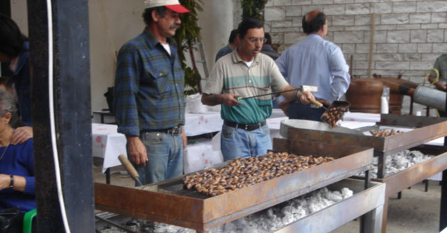 Ξενώνας Αλθαία - Ορεινή Ναυπακτία - Άνω Χώρα Ναυπακτίας