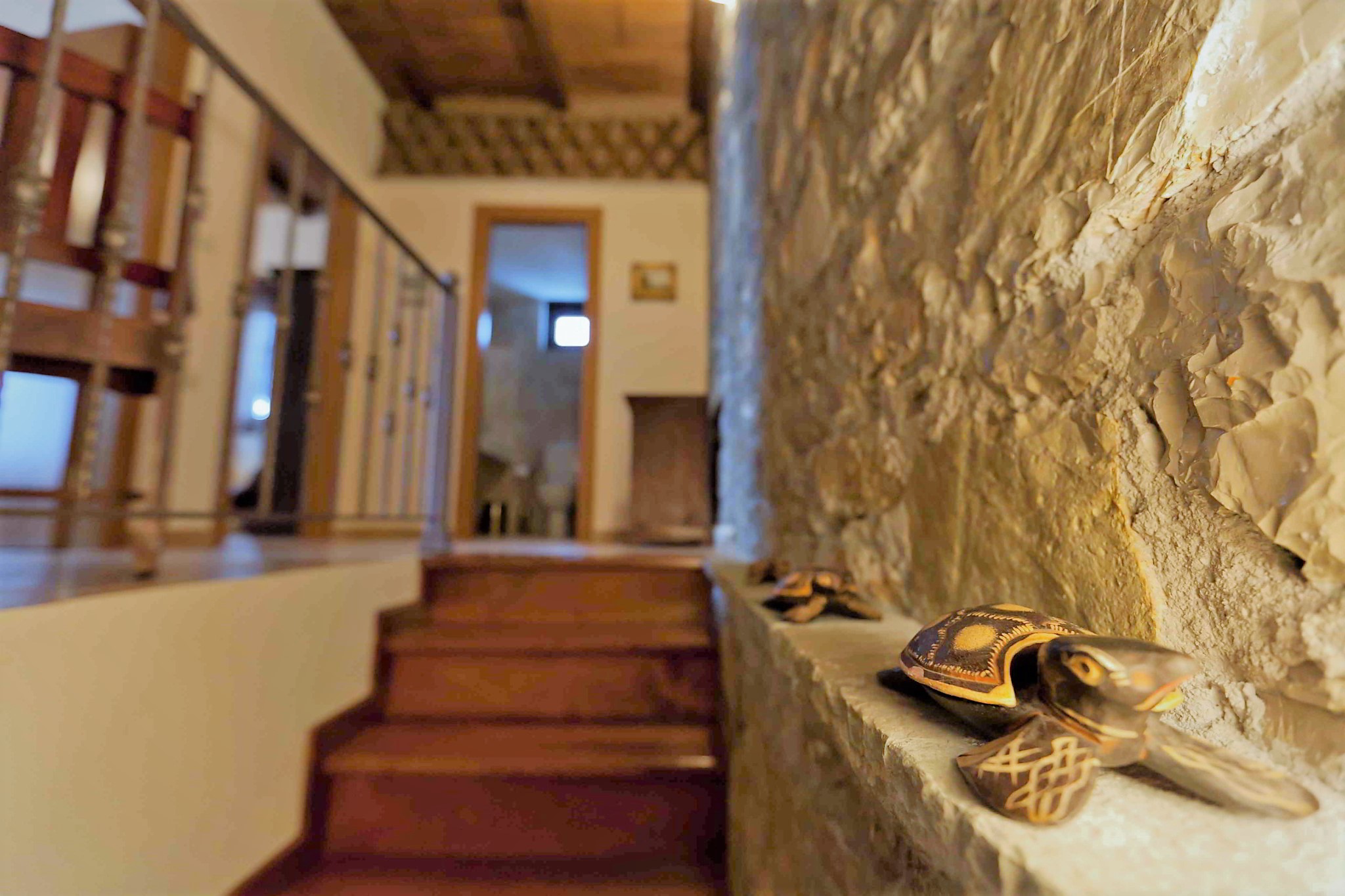 Ξενώνας Αλθαία - Ορεινή Ναυπακτία - Άνω Χώρα Ναυπακτίας